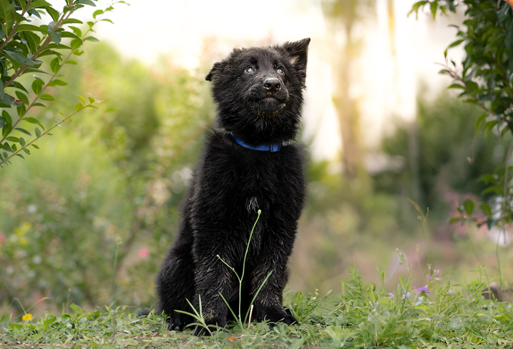 galleri-shop-maeriarte